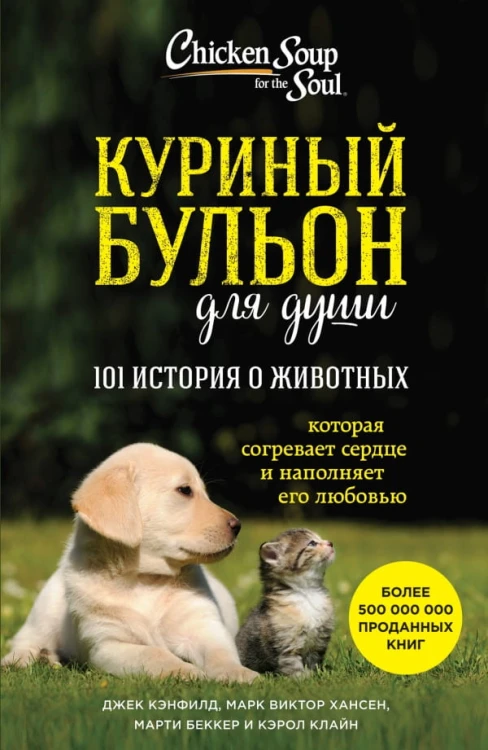 куриный-бульон.jpg