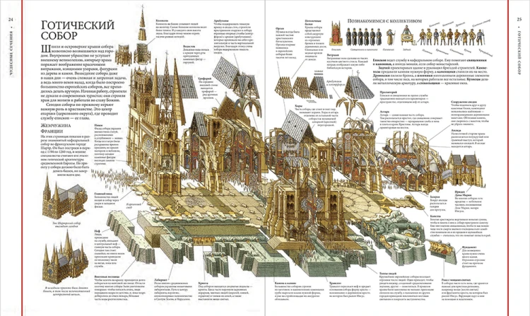 incredible-cross-section1.png