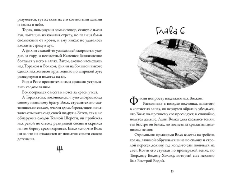 Хроники темных времен. Кн.6. Охота на духов