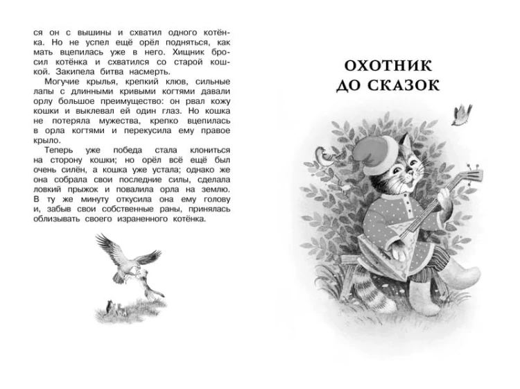 Рассказы и сказки