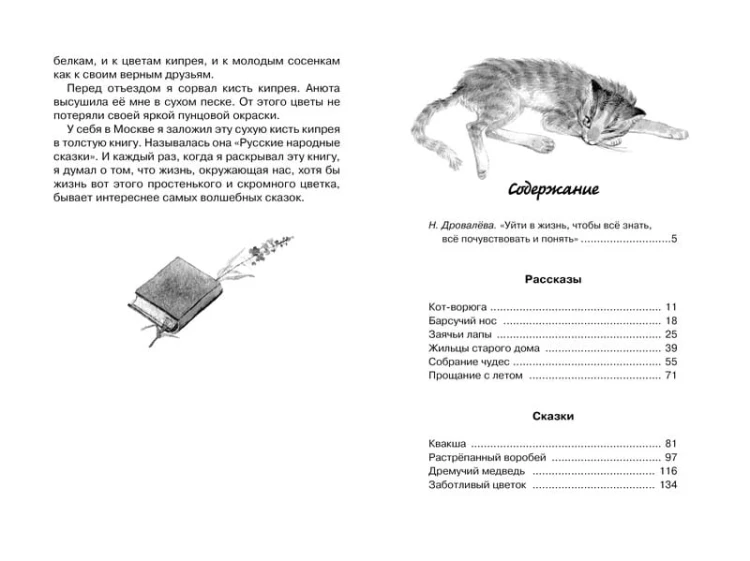 Кот-ворюга. Рассказы и сказки