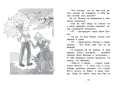 Удивительные приключения мальчика без тени и тени без мальчика