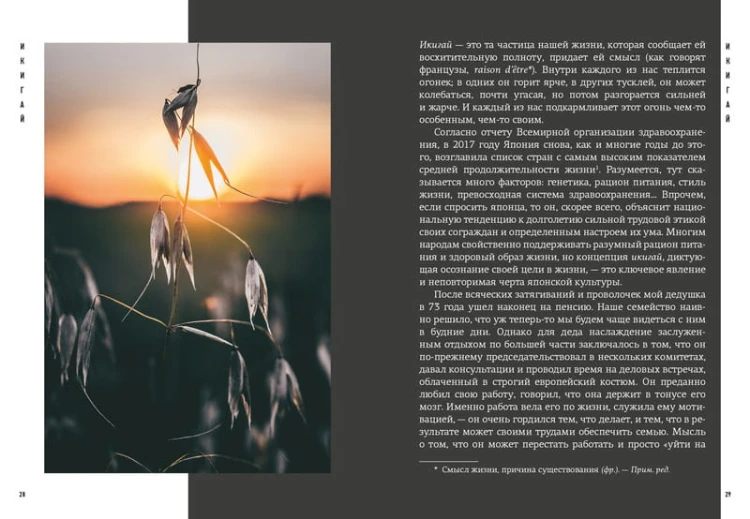Японизм. Маленькая книга японской жизненной мудрости
