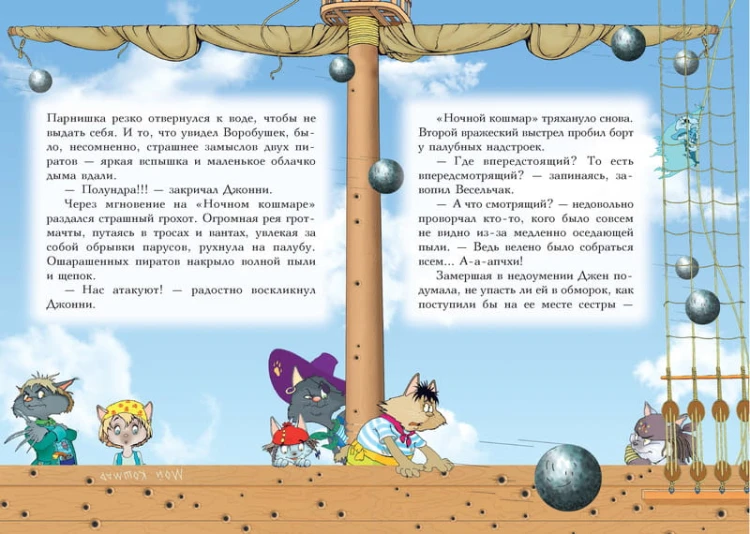 Пираты Кошачьего моря. Книга 2. Остров забытых сокровищ