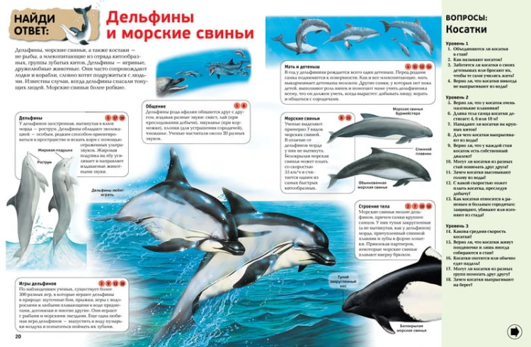 Интерактивная энциклопедия для школьников