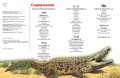Интерактивная энциклопедия для школьников