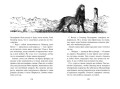 Повелитель драконов. Кн.2. Перо грифона