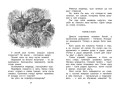 Лесные тайнички