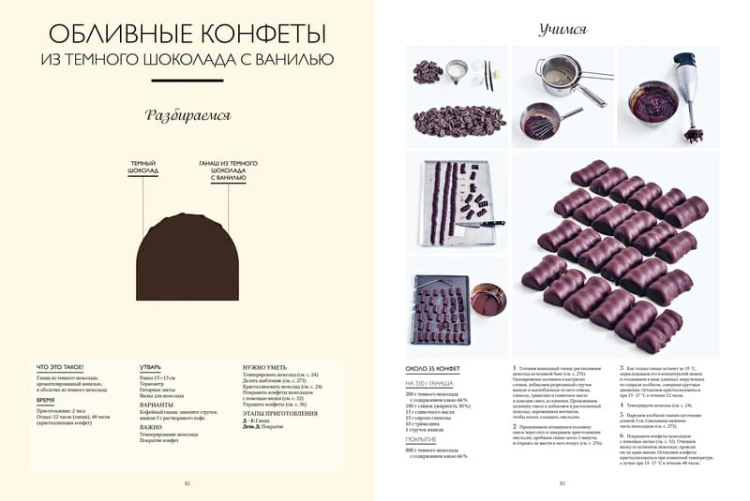 Большая книга шоколатье: Конфеты, выпечка, десерты, антреме. Учимся готовить шедевры