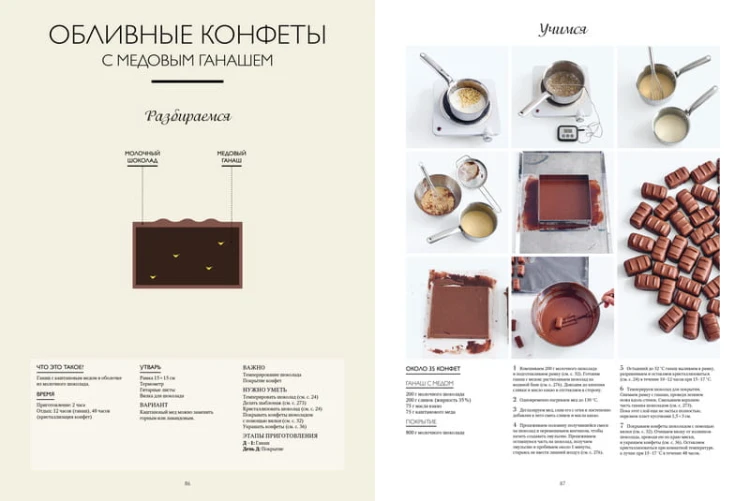 Большая книга шоколатье: Конфеты, выпечка, десерты, антреме. Учимся готовить шедевры