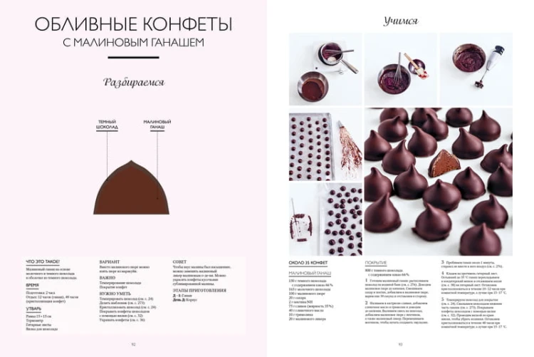 Большая книга шоколатье: Конфеты, выпечка, десерты, антреме. Учимся готовить шедевры