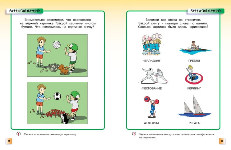 Развивающие тесты (5-6 лет) (нов.обл.)