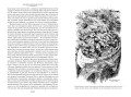 Зверобой. Последний из могикан. Следопыт