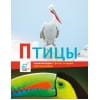 Энциклопедии c фото и видео приложениями. Птицы