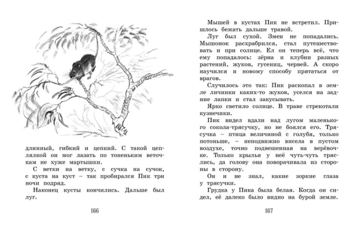 Лесные сказки и рассказы