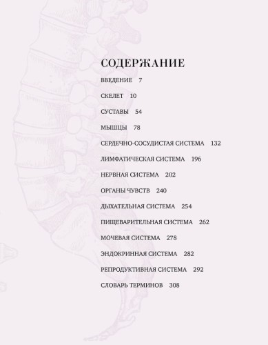 Анатомия  (с иллюстрациями из классической «Анатомии Грея»)