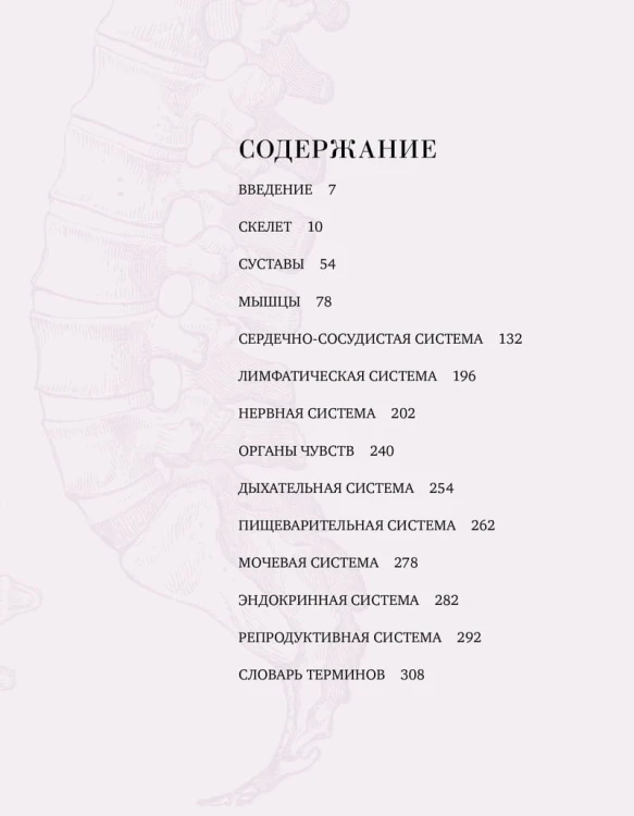 Анатомия  (с иллюстрациями из классической «Анатомии Грея»)