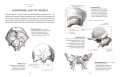 Анатомия  (с иллюстрациями из классической «Анатомии Грея»)