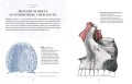 Анатомия  (с иллюстрациями из классической «Анатомии Грея»)