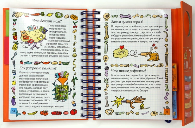 Как всё устроено?