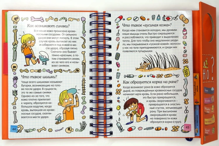 Как всё устроено?
