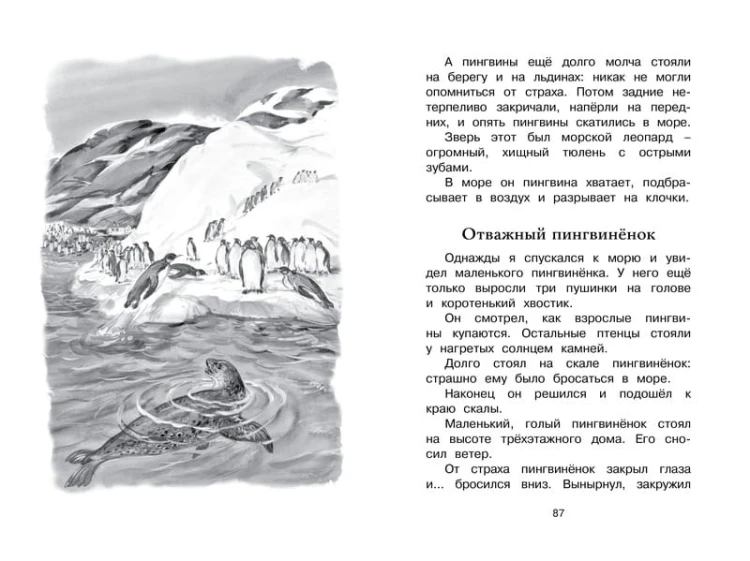 Беспокойный хвостик