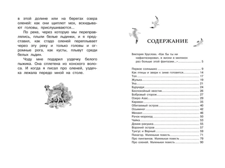 Беспокойный хвостик