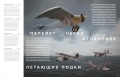 Авиация: Инфографика полета