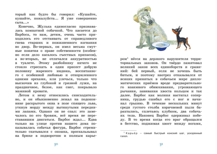 Белый пудель