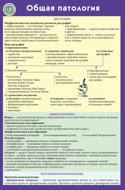 Общая патология