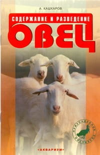 Содержание и разведение овец