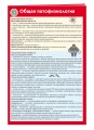 Общая патофизиология