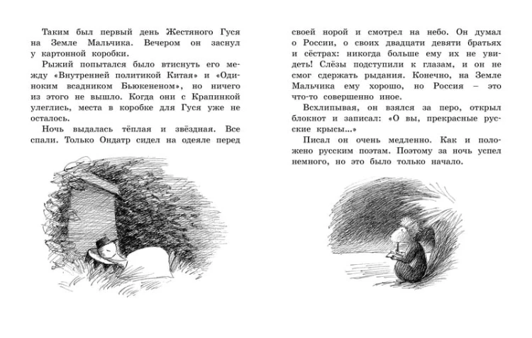 Линдгрен Б. Мальчик,Жестяной Гусь и возвращение Элефанты