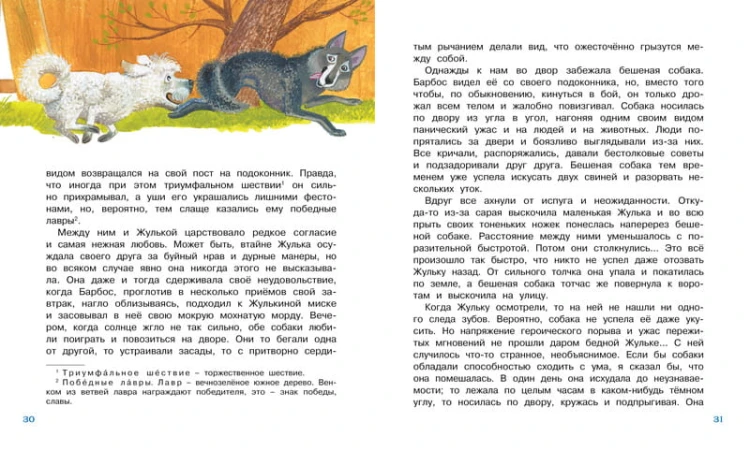 Белый пудель. Куприн А.
