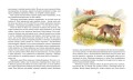 Рассказы о животных