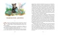Рассказы о животных