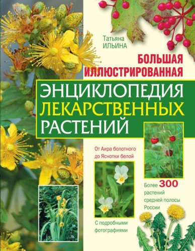 cover1__w600.jpg