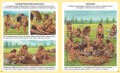 Миллион лет до нашей эры Твоя первая энциклопедия