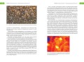 Феномен медоносной пчелы. Биология суперорганизма