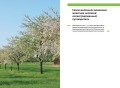 Феномен медоносной пчелы. Биология суперорганизма
