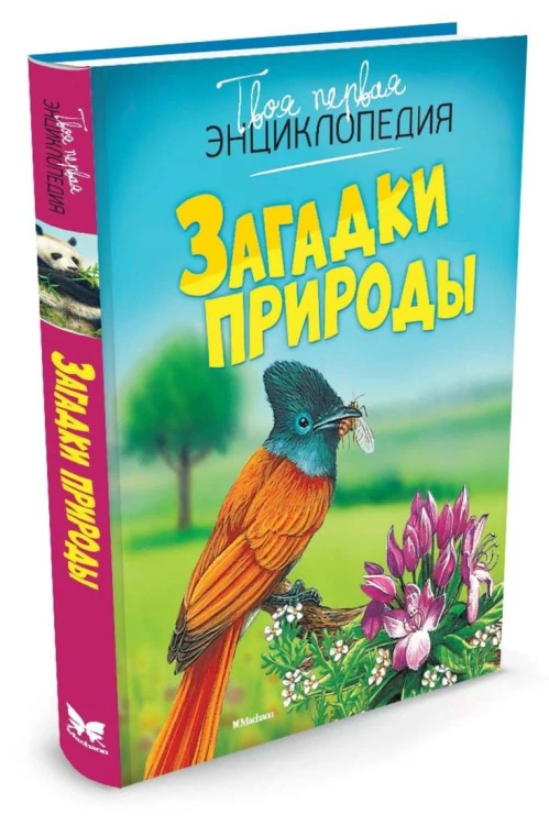Загадки природы