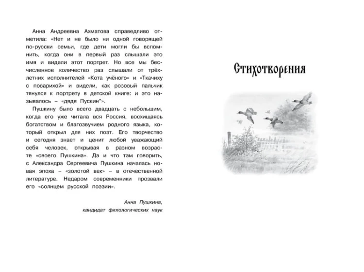Стихи и сказки