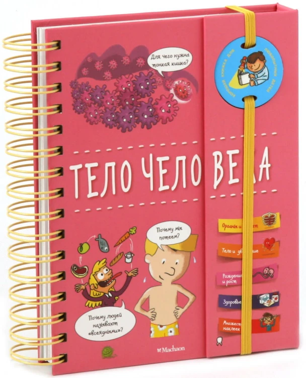 Тело человека