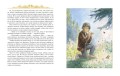Золотые сказки. Топелиус (иллюстр. А. Рейпольского)
