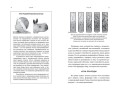 Мозг. Ваша личная история