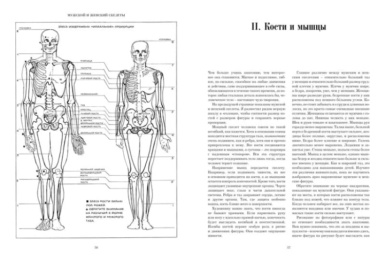 Рисование фигуры