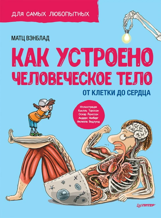 Как устроено Человеческое тело.От клетки до сердца