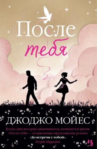 После тебя: роман