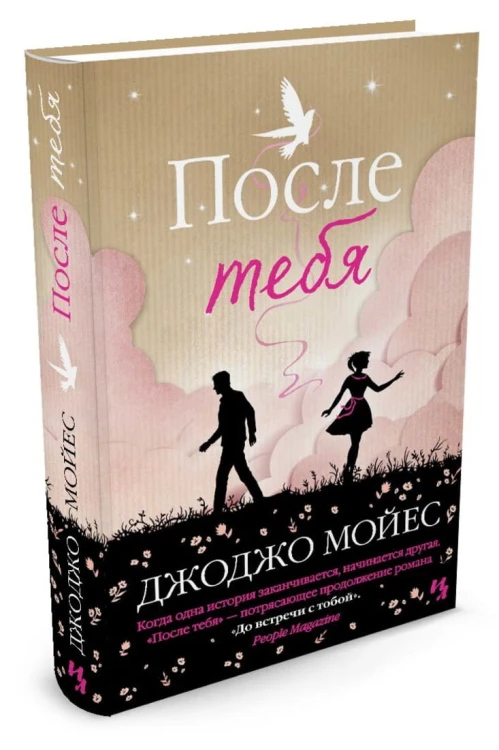 После тебя: роман