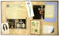 Вампирология Тайны и сокровища. Брукс А.